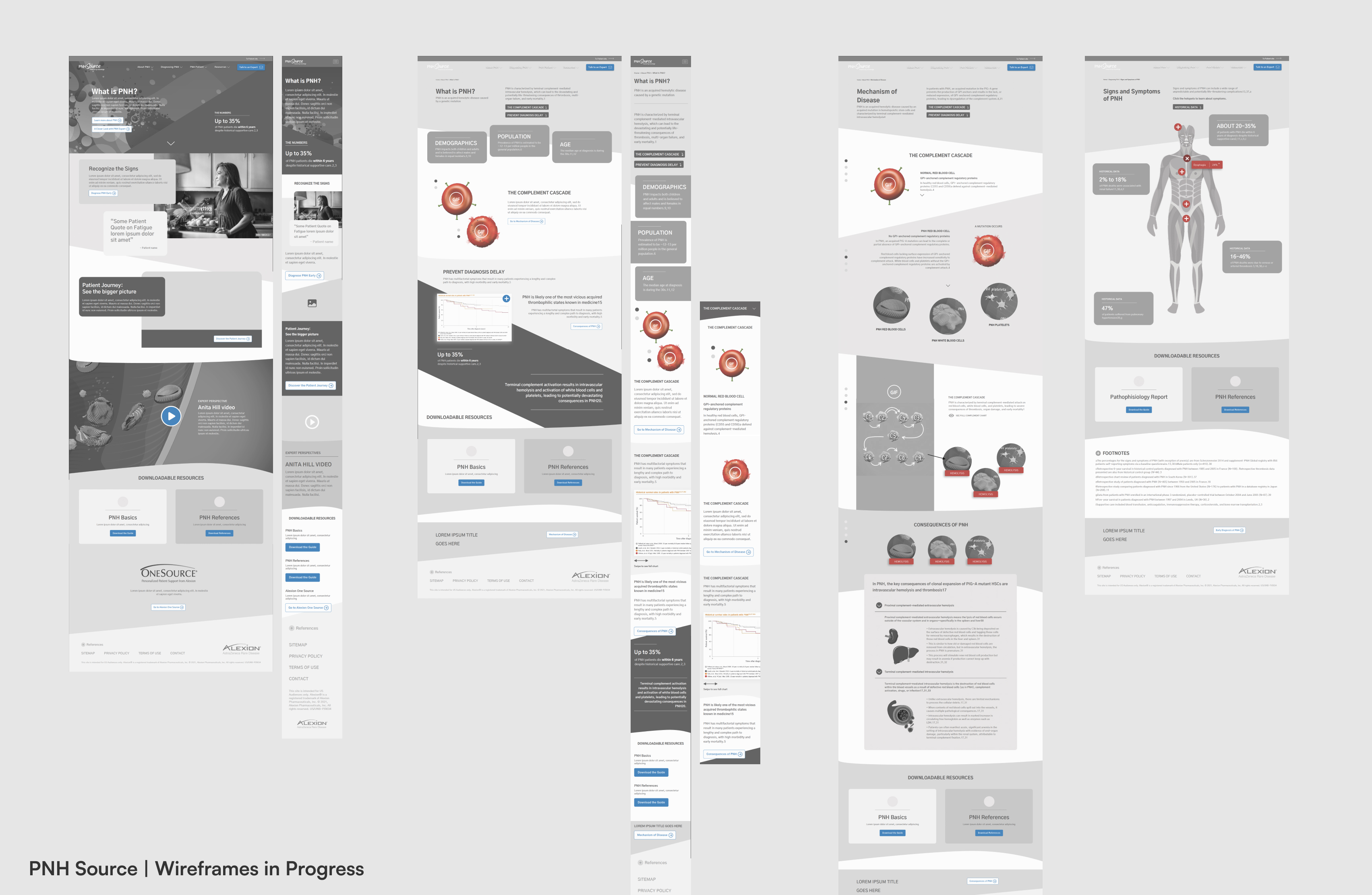 Wireframes of pnh source website